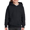 Youth Hoodie