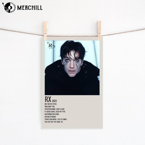 Role Model RX 2022 Album Poster Gift for Music Lover