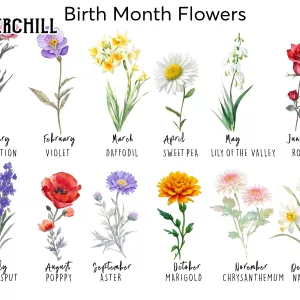Custom Birth Flower Poster for Nana Presents Personalized Mothers Day Gift 4