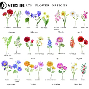 Personalized Teacher Flower Garden Gift Mothers Day Gifts for Teachers 4